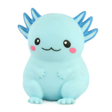 Load image into Gallery viewer, Stretch Axolotl Sensory Toy
