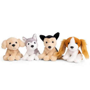Little Dogs