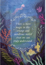 Load image into Gallery viewer, How To Spot A Fairy
