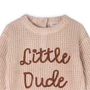 Little Dude Embroidered Sweater Knit Baby Pullover Oatmeal Heather