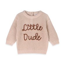 Load image into Gallery viewer, Little Dude Embroidered Sweater Knit Baby Pullover Oatmeal Heather
