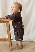 Load image into Gallery viewer, Organic Cotton Peyton Sweatshirt - Pilot, Planes Bistre
