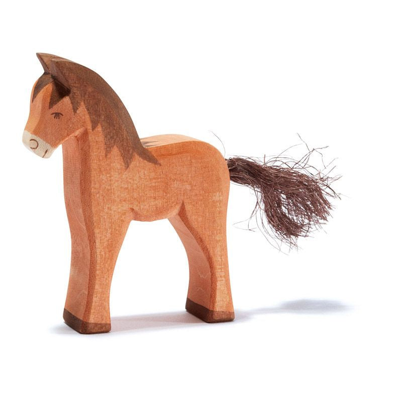 Brown Colt