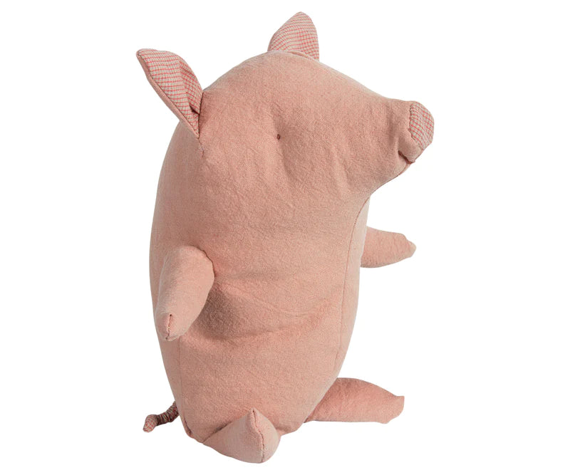 Pig, Truffle, Baby