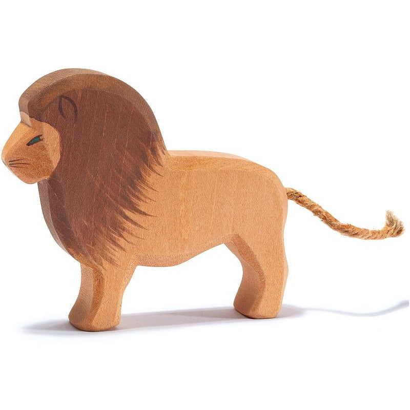 Male Lion