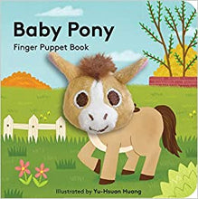 Load image into Gallery viewer, Baby Pony
