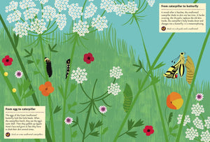 My Nature Sticker Activity Book - Butterflies of the World