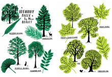 Load image into Gallery viewer, Hello Nature Activity Book
