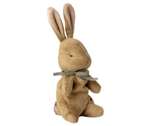 Load image into Gallery viewer, My First Bunny in Box - Blue
