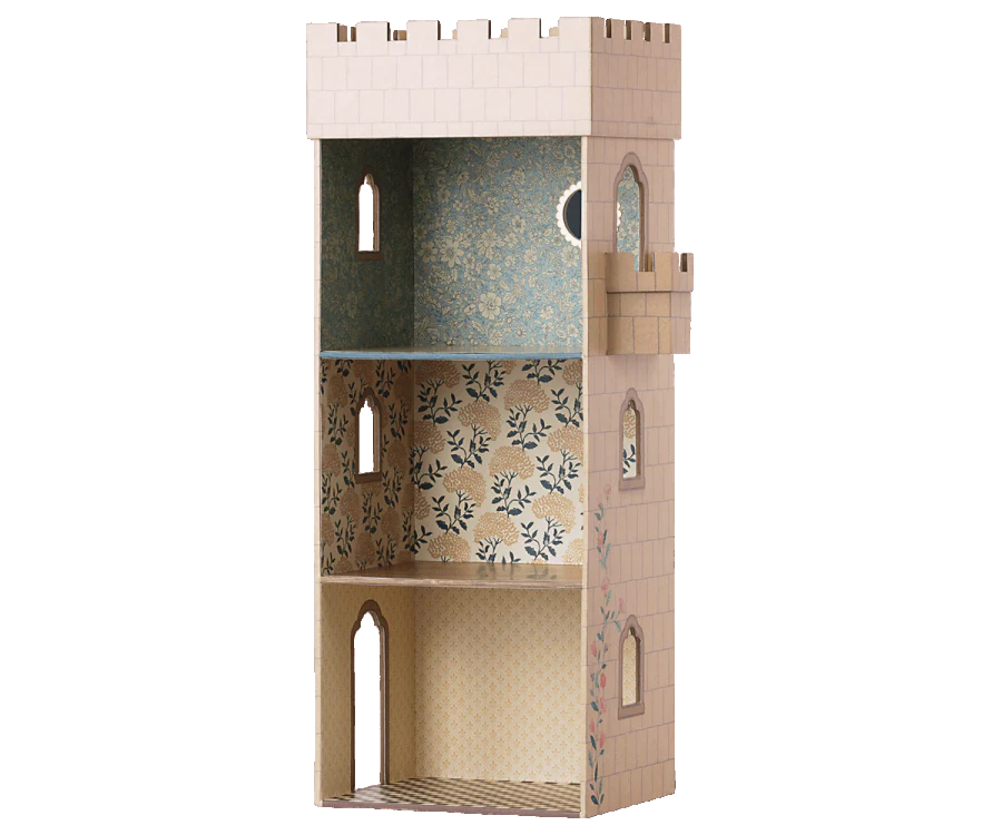 Castle With Mirror