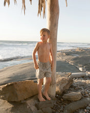 Load image into Gallery viewer, Boardshort - Palm Trees
