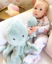 Load image into Gallery viewer, Oda Plush Octopus

