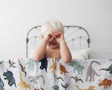 Load image into Gallery viewer, Dino Friends - Cotton Muslin Swaddle Blanket
